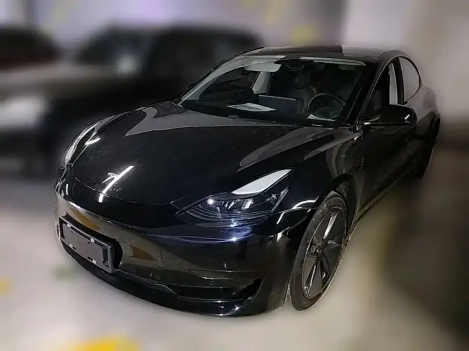 Tesla Model 3 Standard Range Rear-Wheel Drive Upgrade 2021