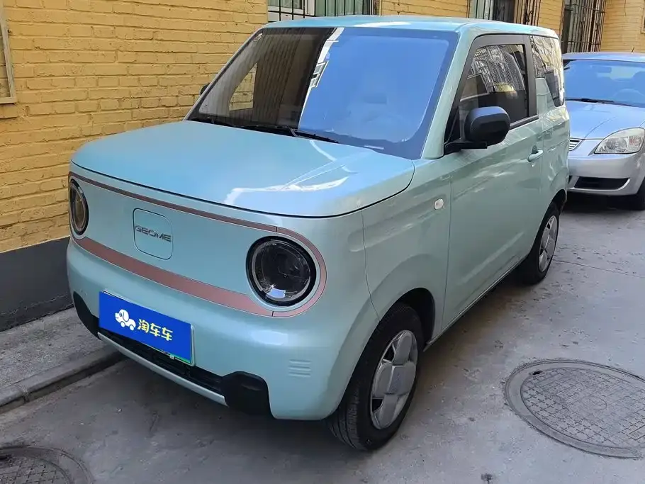 Geely Galaxy Panda Panda mini 200km Endurance Bear 2024