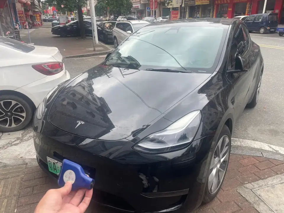 Tesla Model Y Standard Range Rear-Wheel Drive 2021