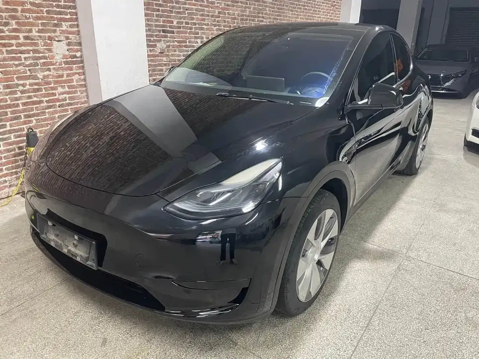 Tesla Model Y Standard Range Rear-Wheel Drive 2021