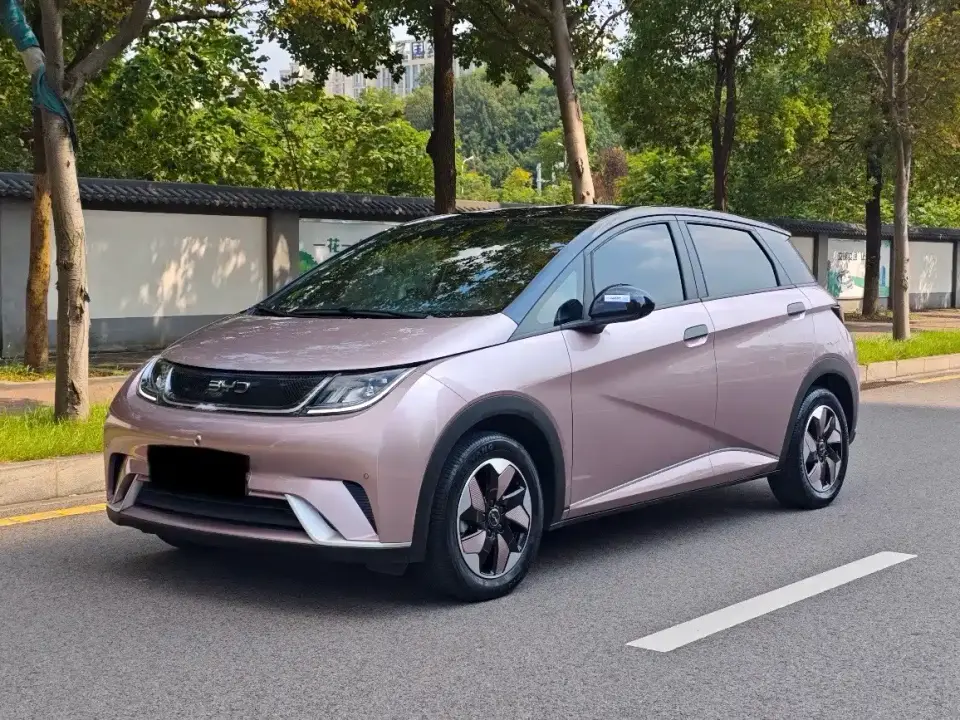 BYD Dolphin 420km Fashion Edition 2023