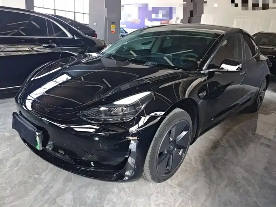 Tesla Model 3 Model Rear-Wheel Drive Version 2023