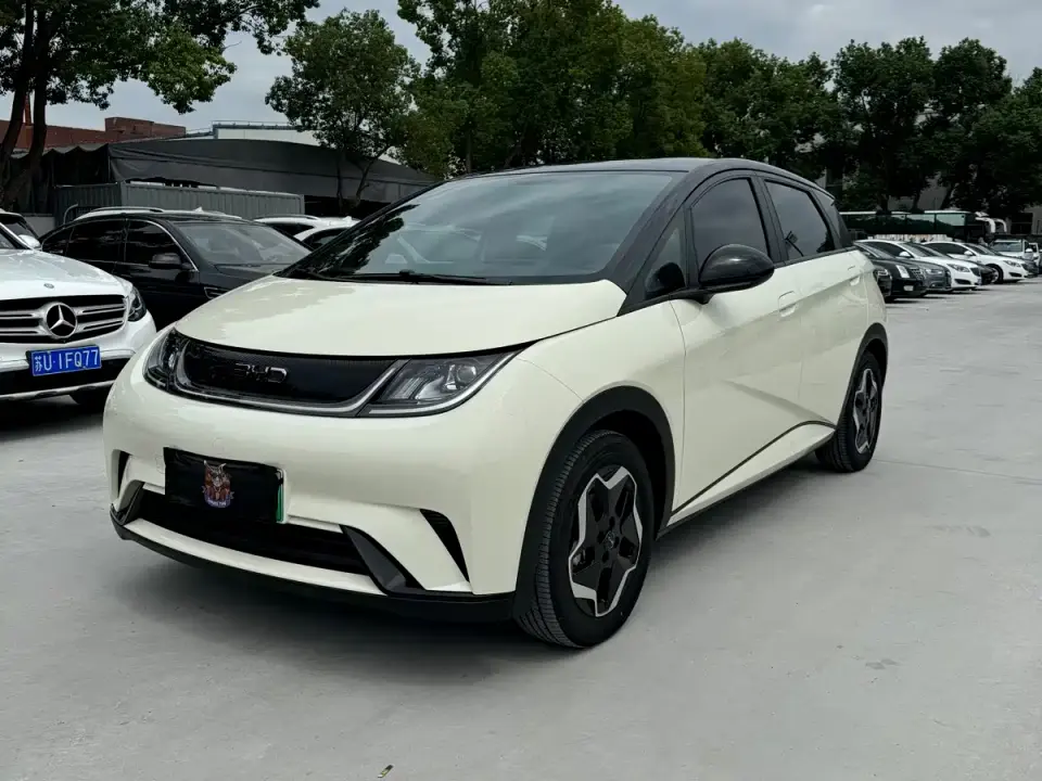 BYD Dolphin 420km Fashion Edition 2023