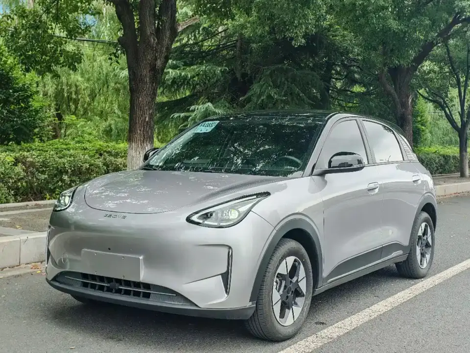 Geely Galaxy Starry Wish 310km Youth Edition 2025