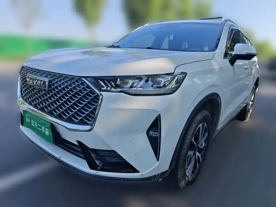 Haval H6 3rd Gen 1.5T Auto 2WD Pro 2020