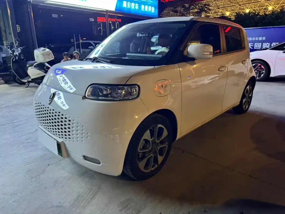 ORA White Cat 305km Luxury 2021