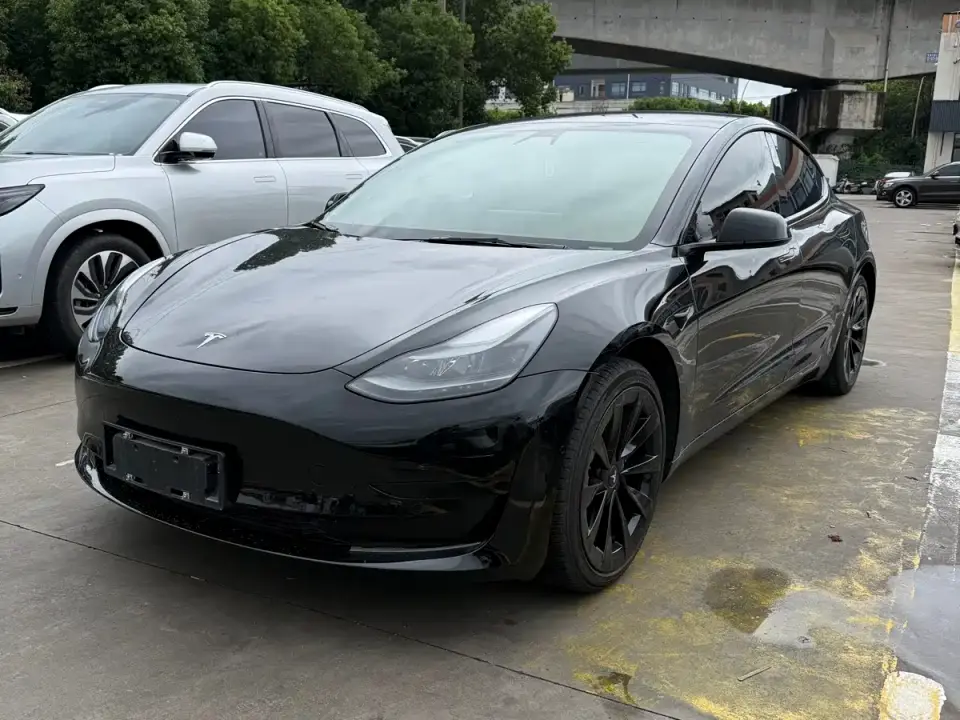 Tesla Model 3 Standard Range Rear-Wheel Drive Upgrade 2021