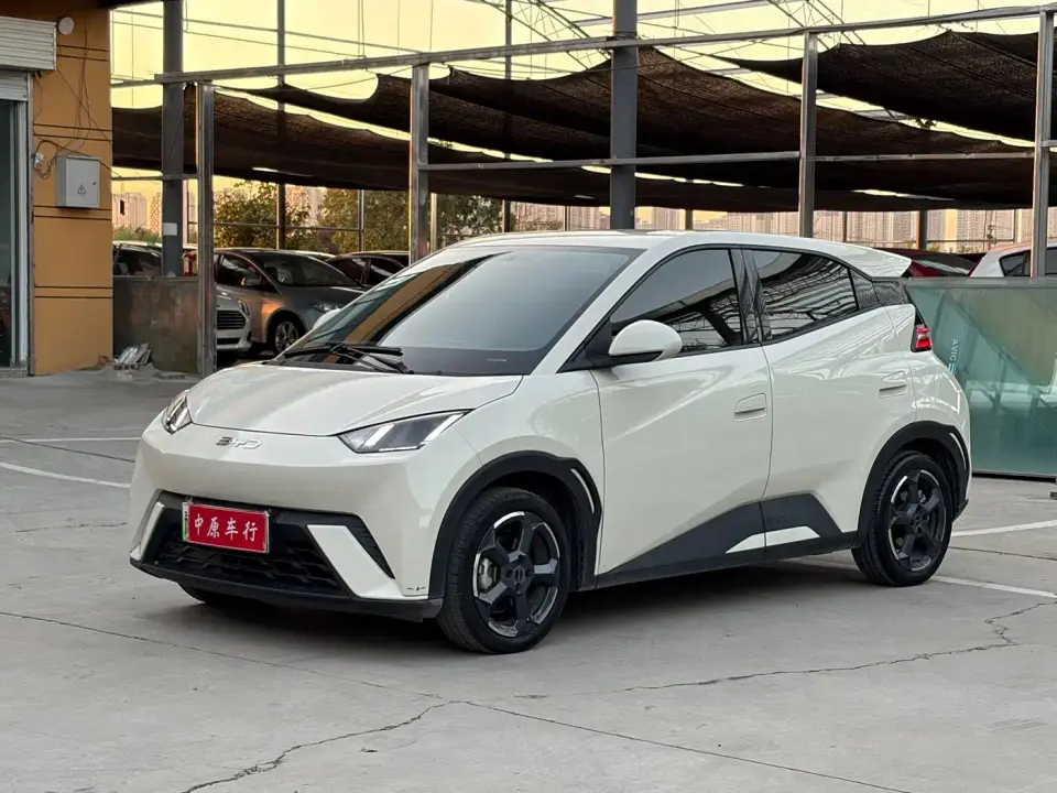 BYD Seagull Freedom Edition 2024