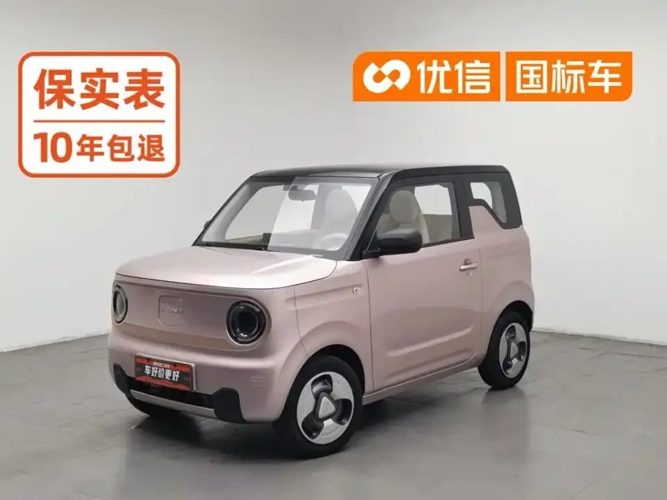 Geely Galaxy Panda Panda Mini 200km Lively Bear 2023