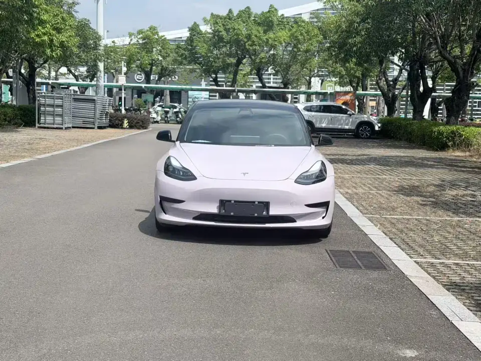 Tesla Model 3 Standard Range Rear-Wheel Drive Upgrade 2021
