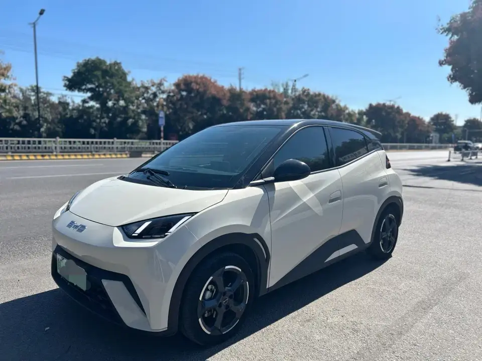BYD Seagull Glory Edition 305km Freedom Edition 2024