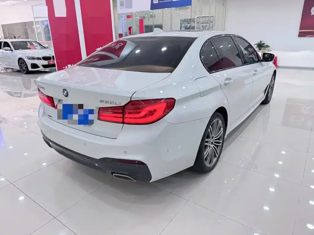 BMW 5 Series 530Li xDrive M Sport Package 2019 — фото 7