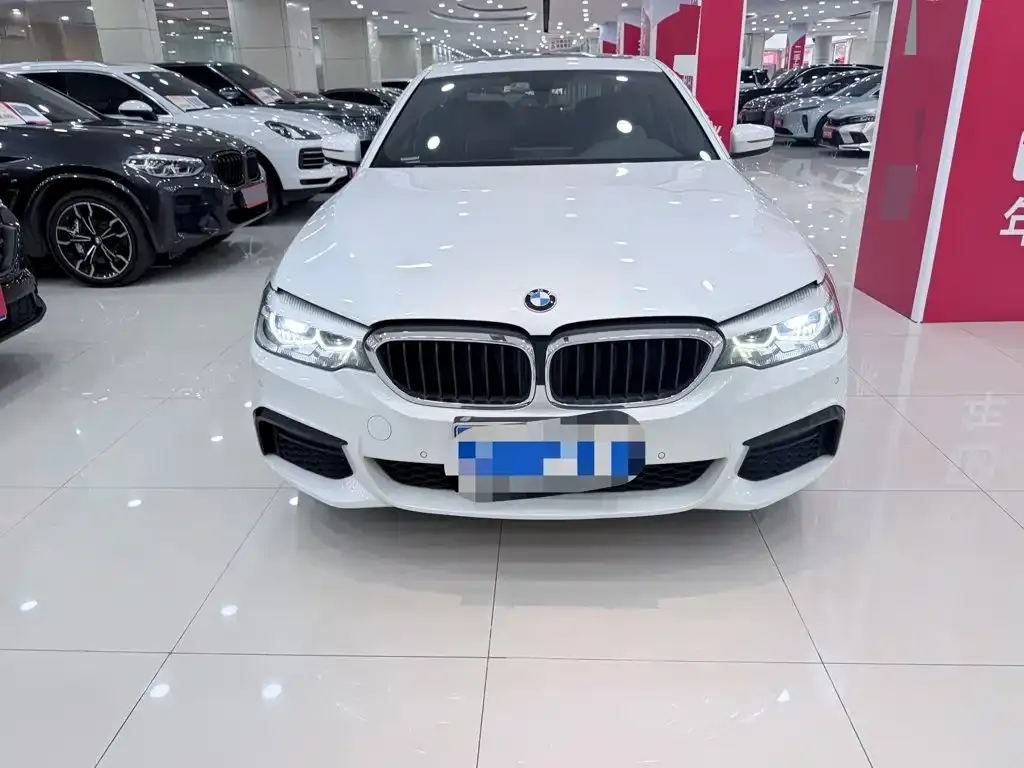 BMW 5 Series 530Li xDrive M Sport Package 2019 — фото 2