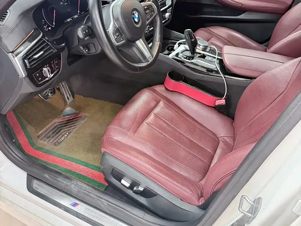 BMW 5 Series 530Li xDrive M Sport Package 2019 — фото 3