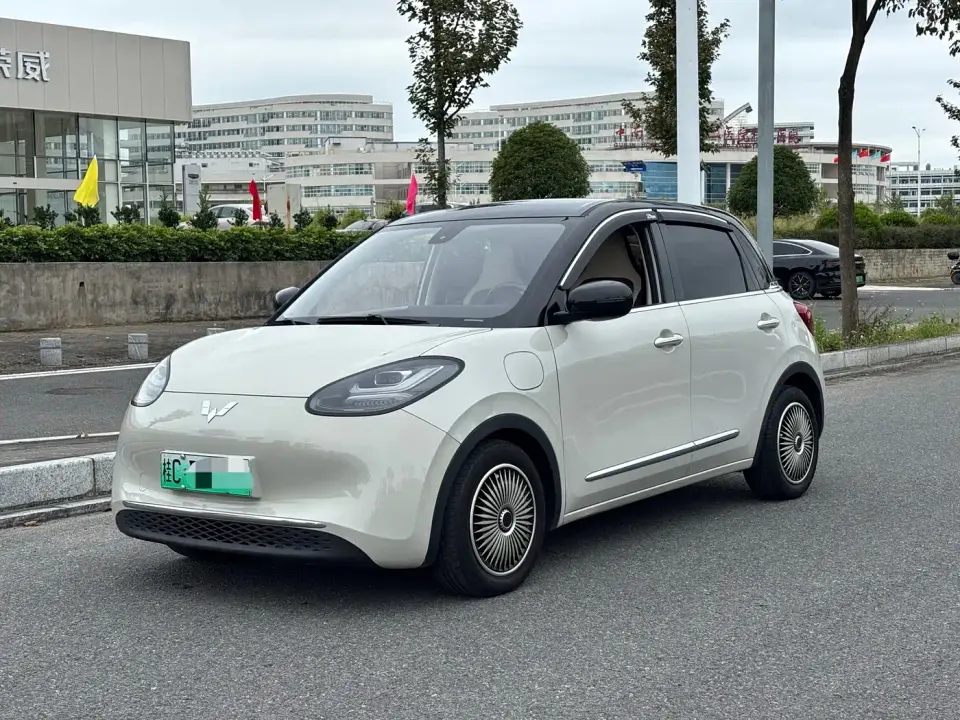 Wuling Motors Wuling Bingo 333km Smart Connectivity Edition 2023