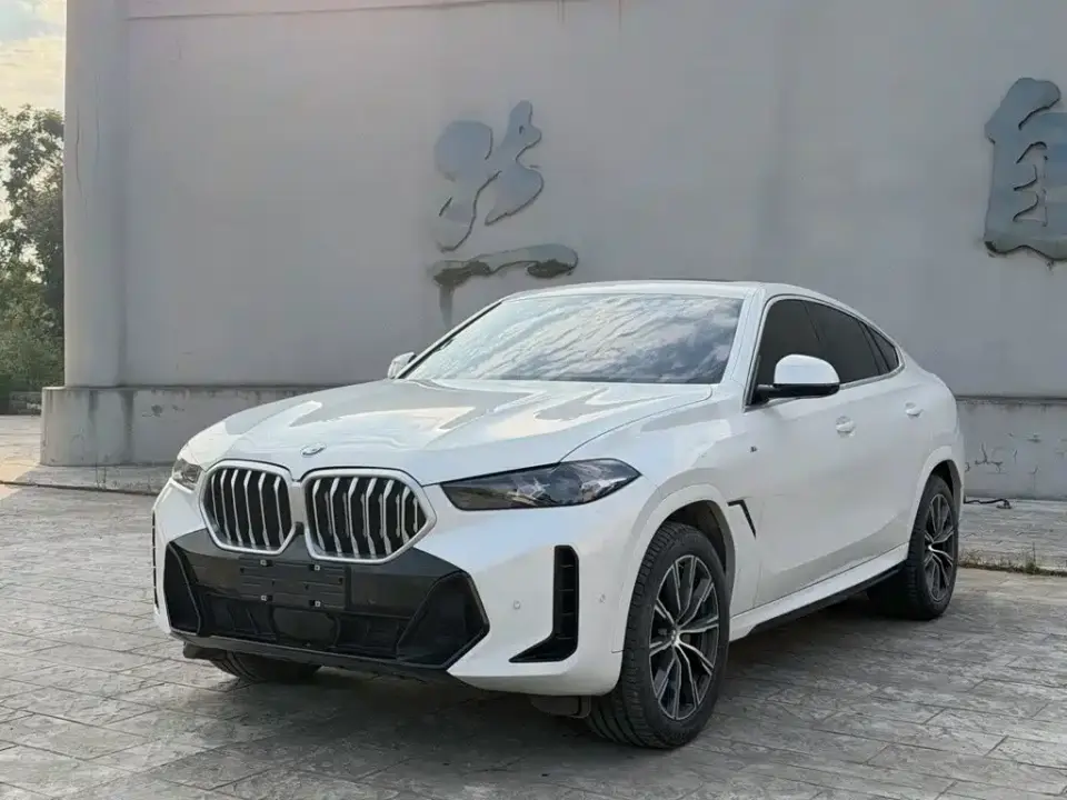 BMW X6 xDrive30i M Sport Package 2024