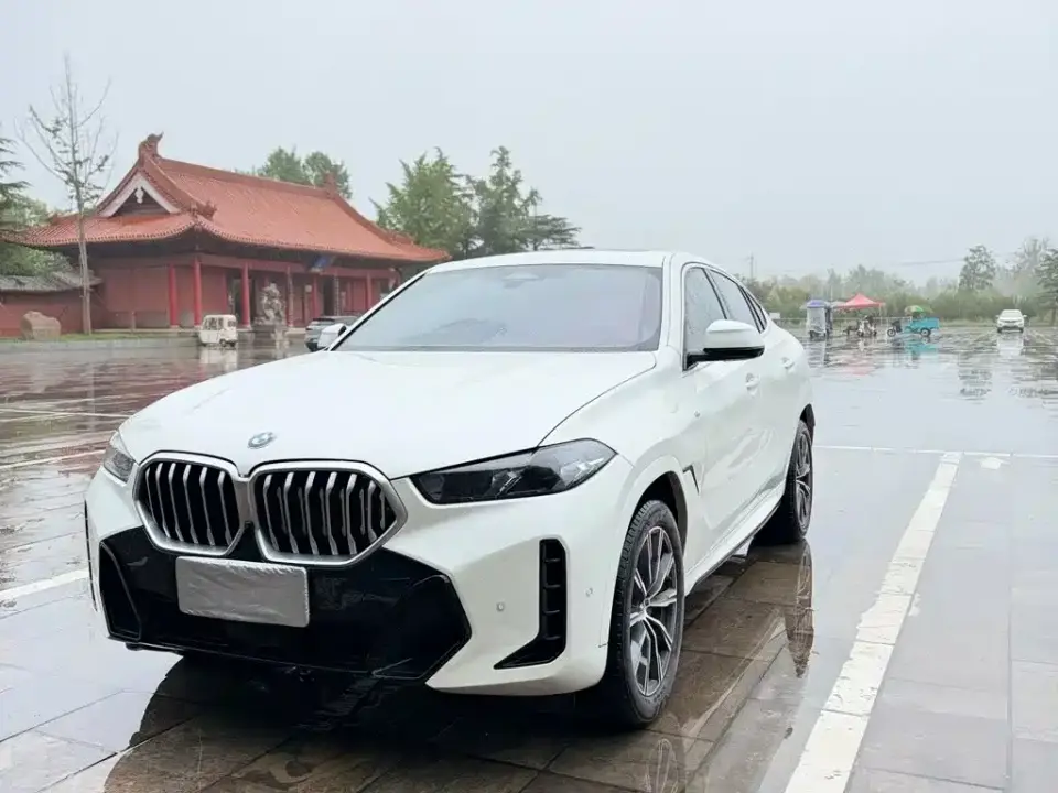 BMW X6 xDrive30i M Sport Package 2024