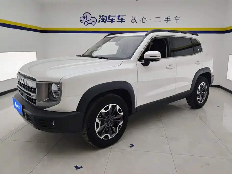 Haval Big Dog 2.0T DCT Chinese Rural Dog Edition 2025
