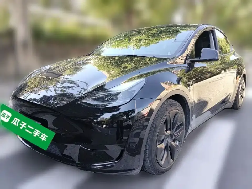 Tesla Model Y Rear-Wheel Drive Version 2022