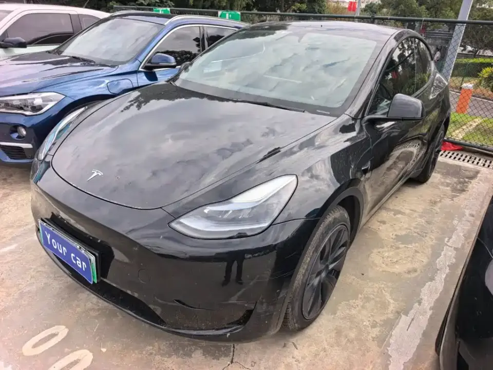 Tesla Model Y Rear-Wheel Drive Version 2024