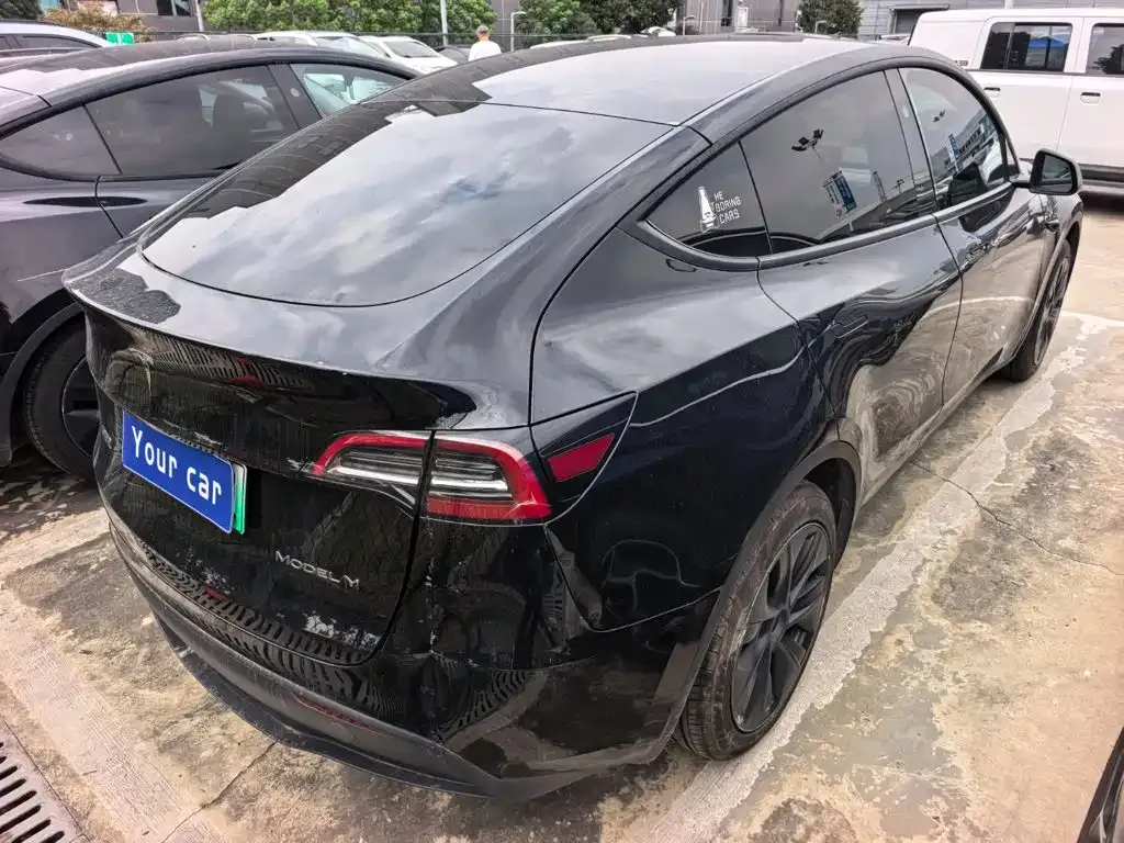 Tesla Model Y Rear-Wheel Drive Version 2024 — фото 5