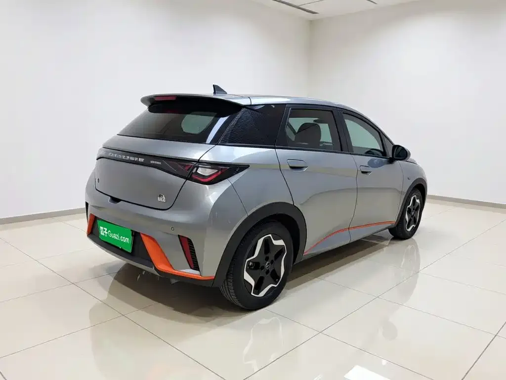 BYD Dolphin Model 405km Fashion Edition 2023 — фото 6