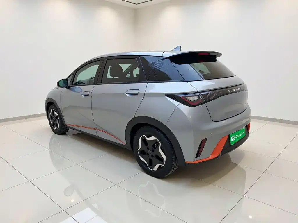BYD Dolphin Model 405km Fashion Edition 2023 — фото 4