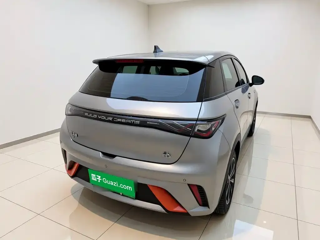 BYD Dolphin Model 405km Fashion Edition 2023 — фото 5