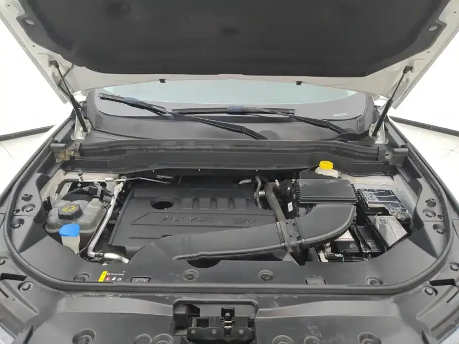 Haval H6 Model National Trend Edition 1.5T Auto Champion 2022 — фото 10