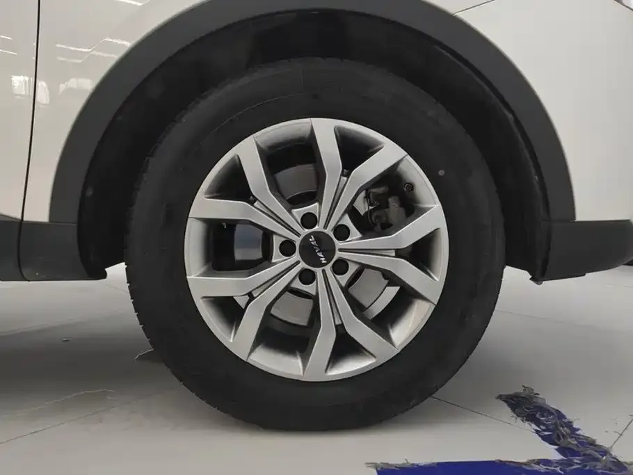 Haval H6 Model National Trend Edition 1.5T Auto Champion 2022 — фото 6