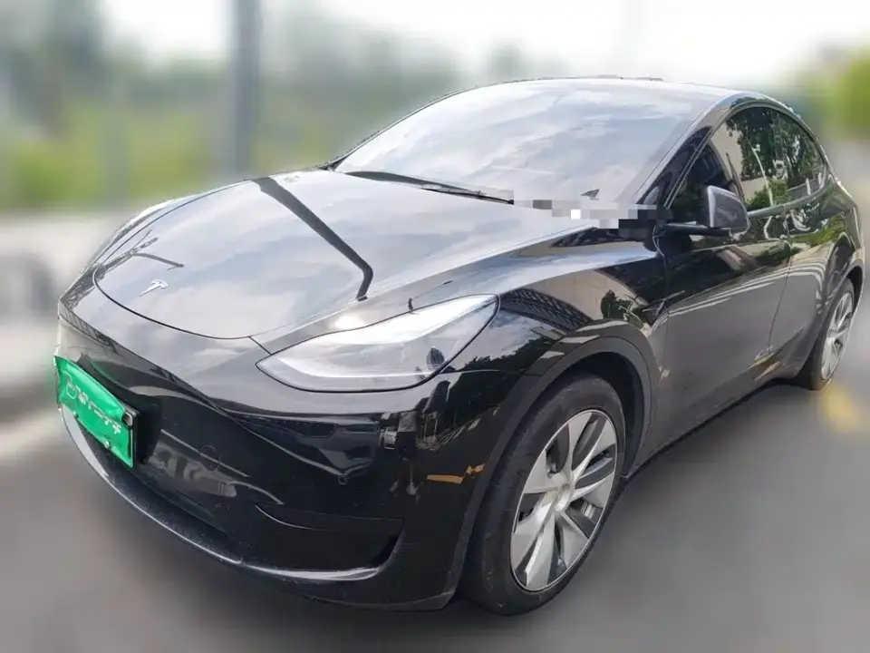 Tesla Model Y Rear-Wheel Drive Version 2022
