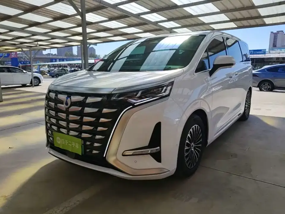 Denza D9 DM-i 980 AWD Flagship 2024