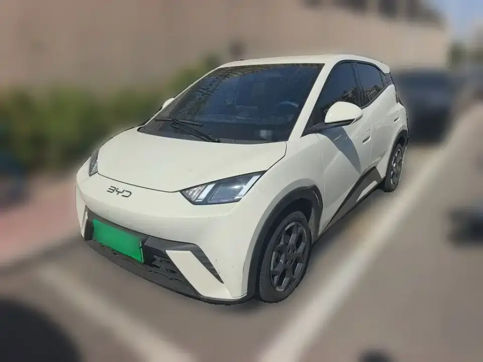 BYD Seagull 305km Freedom 2024