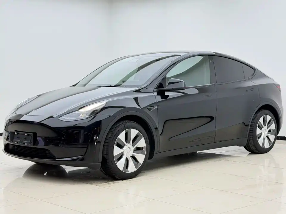 Tesla Model Y Rear-Wheel Drive Version 2022