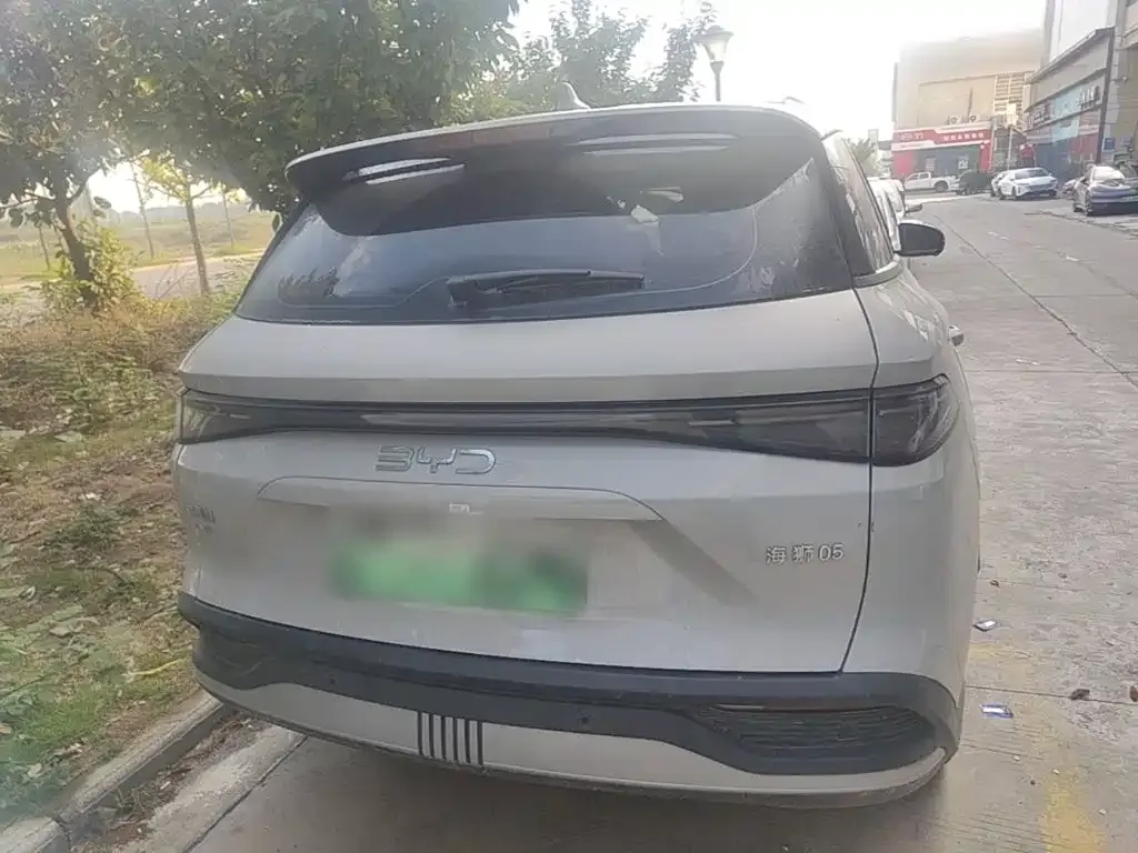 BYD Seal 05 DM-i DM-i 75KM Luxury Type 2024 — фото 6