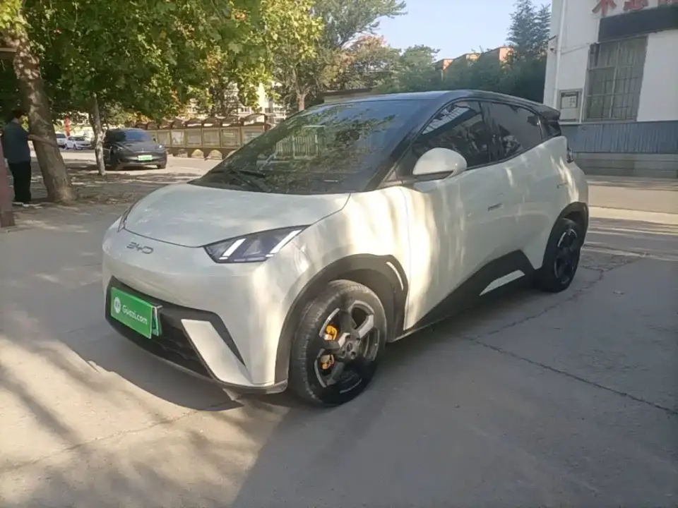 BYD Seagull Freedom Edition 2023
