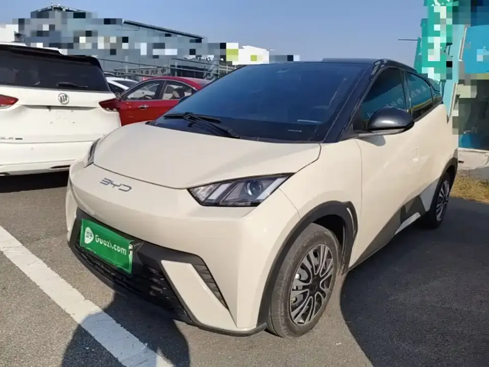 BYD Seagull Vitality Edition 2023