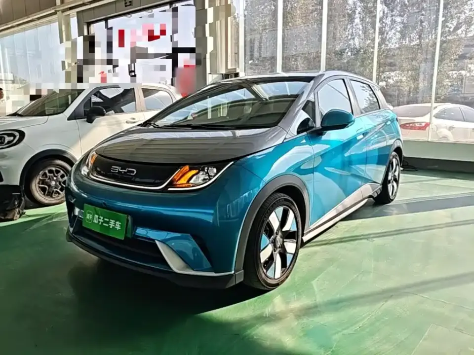 BYD Dolphin 401km Knight Edition 2022