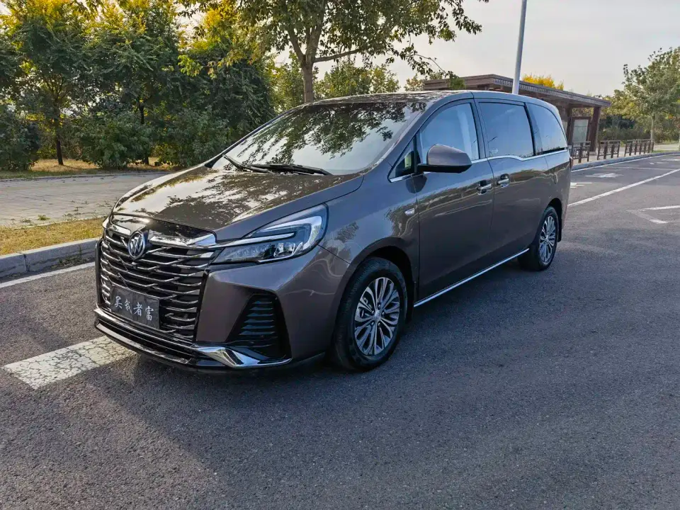 Buick GL8 Land Business Class 652T Luxury 2024