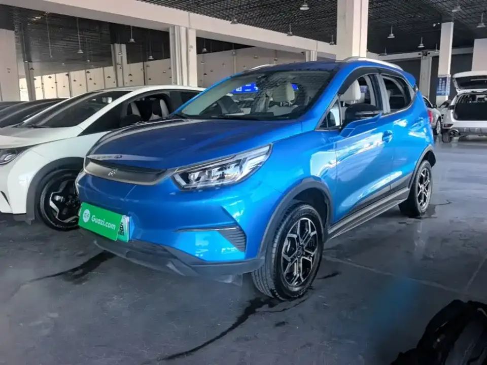BYD Yuan Pro Lifetime Love Edition 2021
