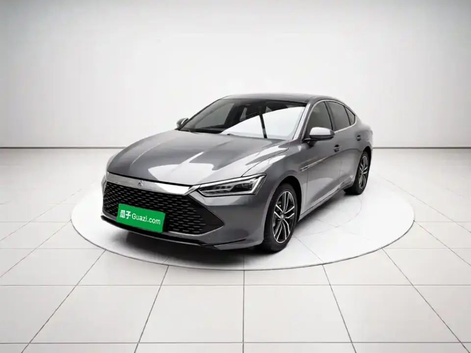 BYD Qin PLUS Champion Edition DM-i 55KM Surpassing 2024