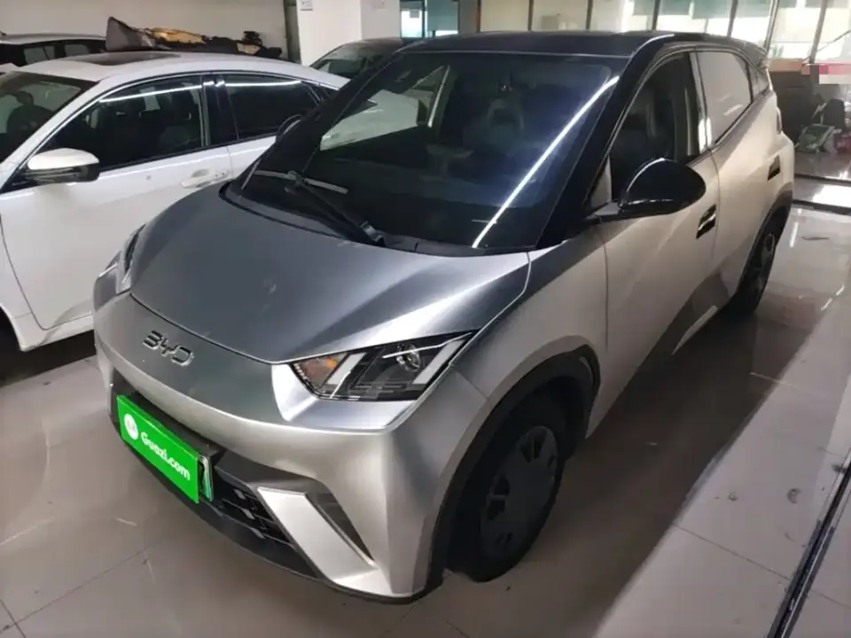 BYD Seagull 305km Vitality 2024