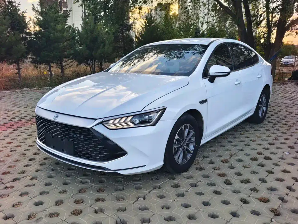 BYD Qin PLUS Glory Edition DM-i 55KM Leading 2024