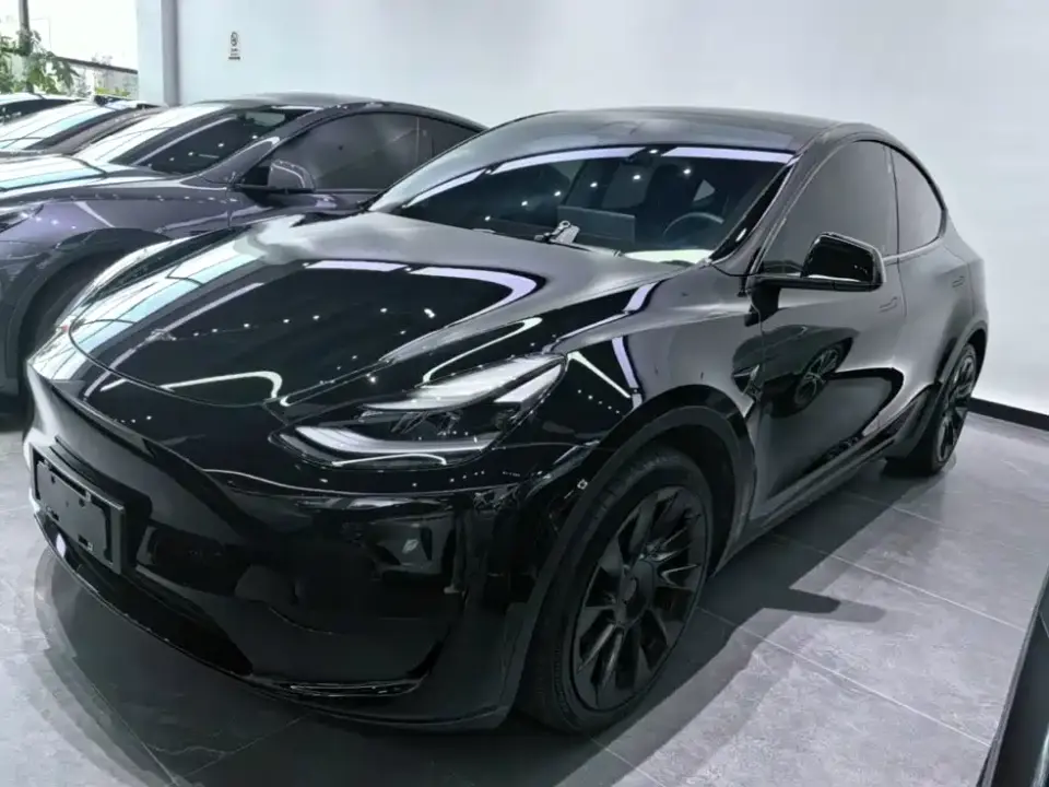 Tesla Model Y Rear-Wheel Drive Version 2022