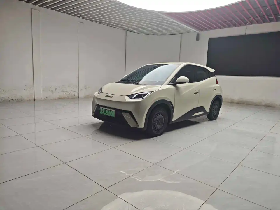 BYD Seagull Glory Edition 305km Vitality Edition 2024