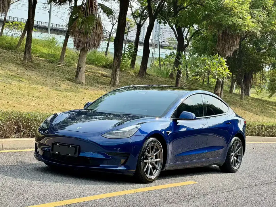 Tesla Model 3 Facelift Standard Range RWD Upgrade 3D1 2021