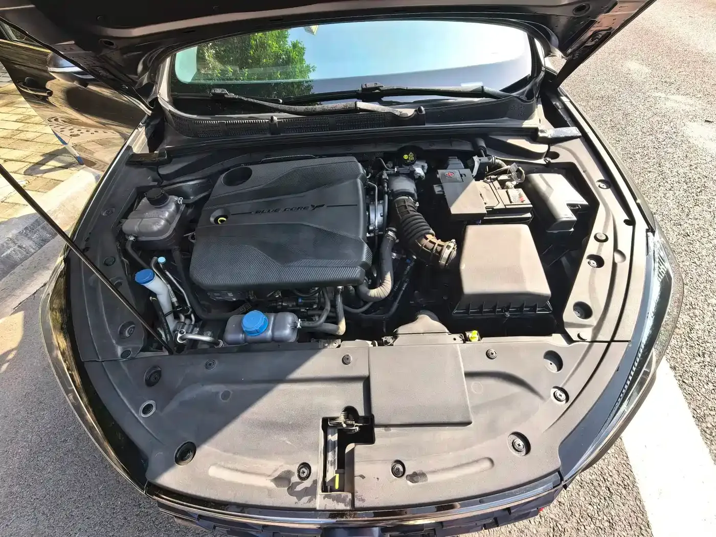 Changan Eado PLUS Blue Whale NE 1.4T GDI DCT Flagship 2022 — фото 16
