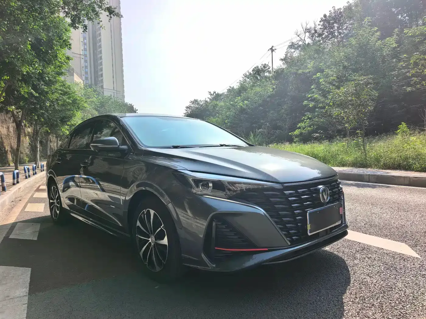 Changan Eado PLUS Blue Whale NE 1.4T GDI DCT Flagship 2022 — фото 3