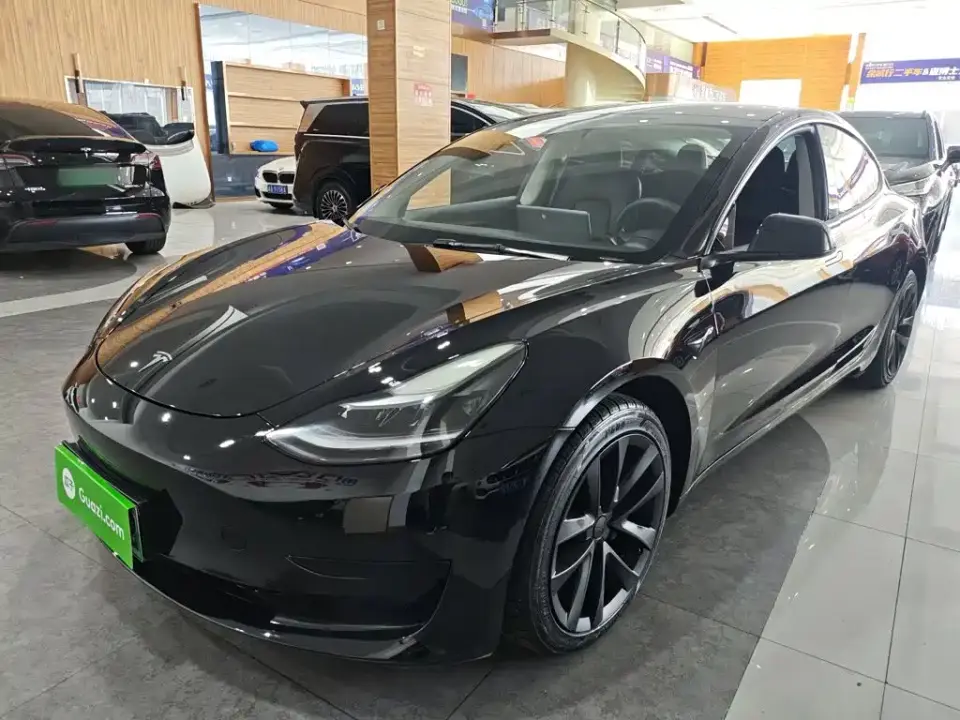 Tesla Model 3 Standard Range Rear-Wheel Drive Upgrade 3D6 2021