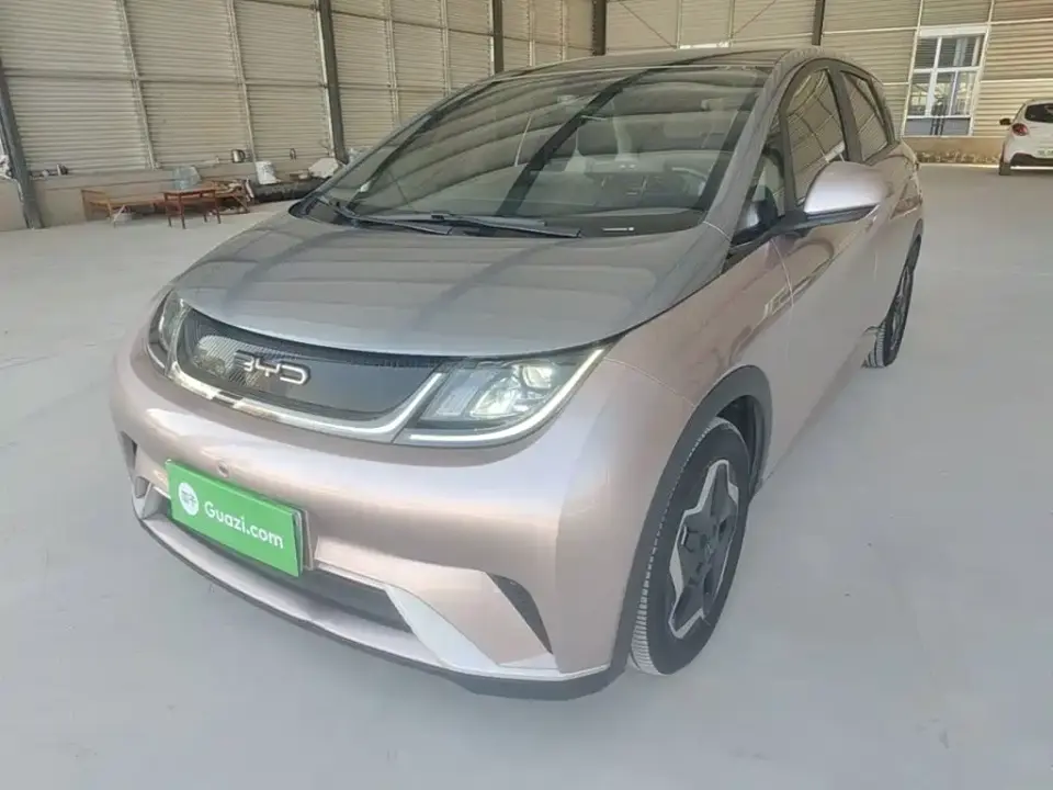 BYD Dolphin Model 405km Fashion Edition 2022